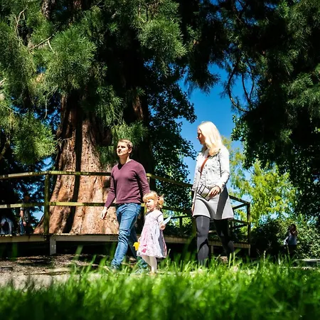 Jufa Am Bodensee Hotel Meersburg