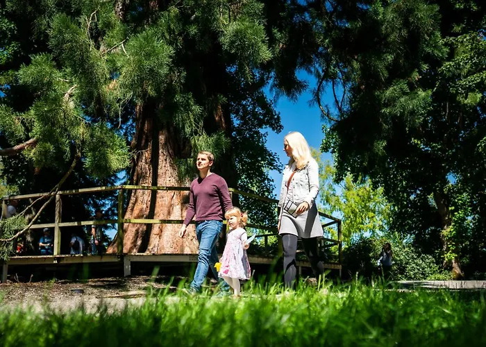 Jufa Am Bodensee Hotel Meersburg