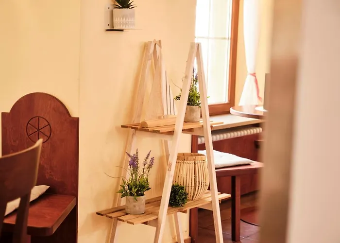 Jufa Am Bodensee Hotel 3*