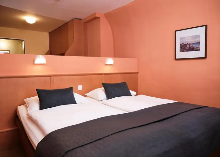 Hotel Jufa Am Bodensee 3*